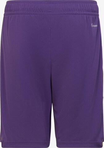 ADIDAS PERFORMANCE Regular Sportshorts 'Tiro 23 League' in Lila