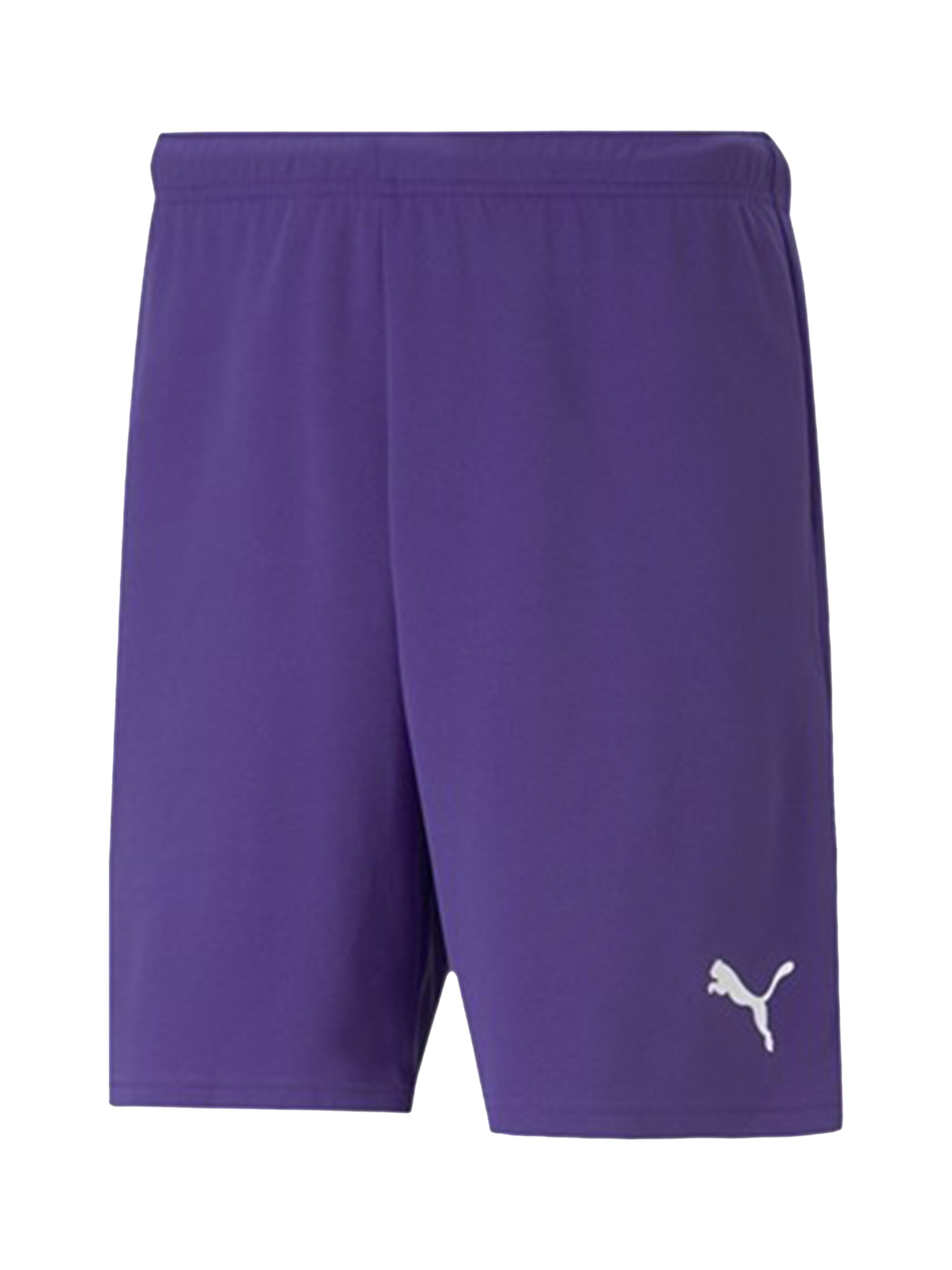 PUMA Workout Pants 'TeamRise' in Purple: front