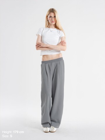 ENRAGE Loose fit Pleat-Front Pants 'ENRAGE' in Grey: front
