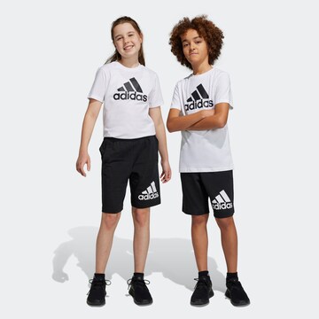 ADIDAS SPORTSWEAR - regular Pantalón deportivo 'Essentials' en negro: frente