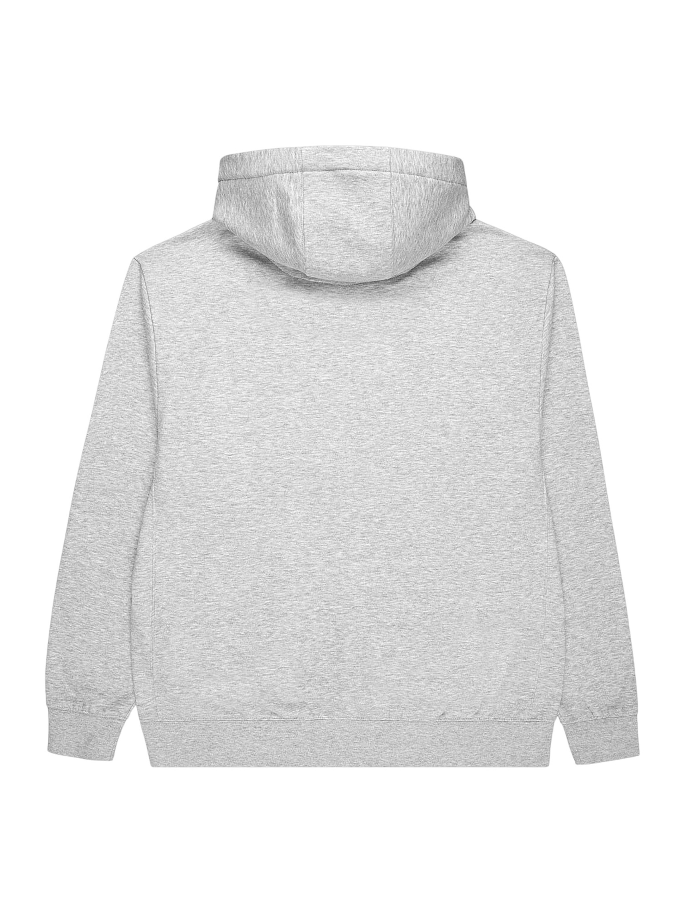 Bucketz Sweatshirt in Grau