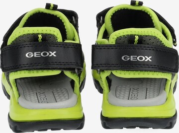 GEOX Offene Schuhe in Schwarz