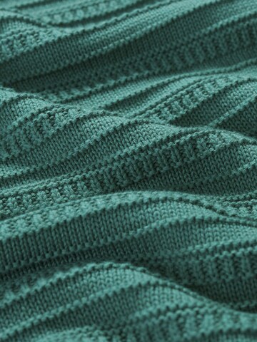 Seasalt Cornwall Pullover 'Tepel' i grøn