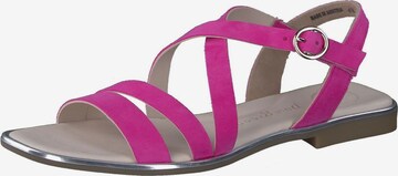 Paul Green Sandalen met riem in Roze: voorkant