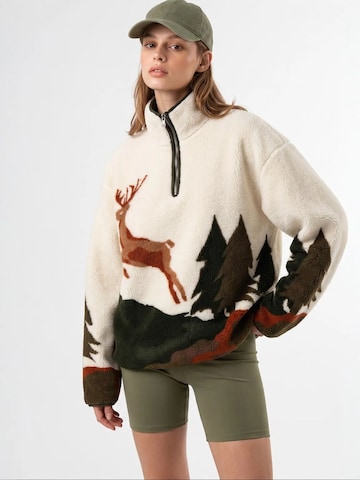 MixRaySweater majica 'Sweatshirts' - miks boja boja