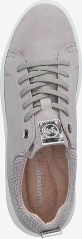 SALAMANDER Sneakers in Grey