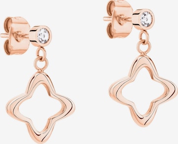 Apple of Eden Ohrringe in Gold: Vorderseite