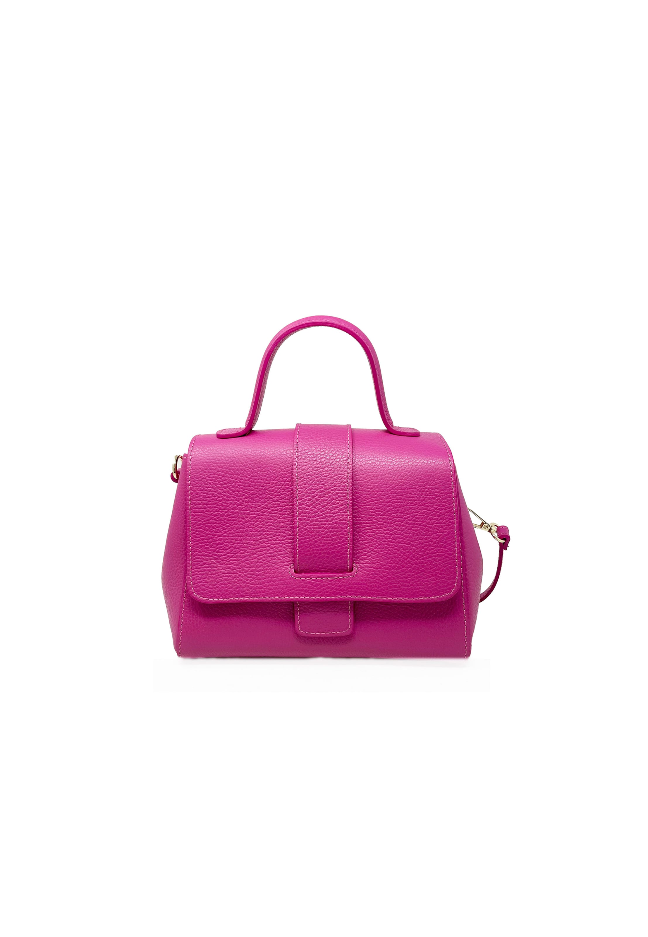 CHICCA BORSE Handbag in Purple: front