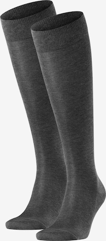 FALKE Knee socks in Grey: front