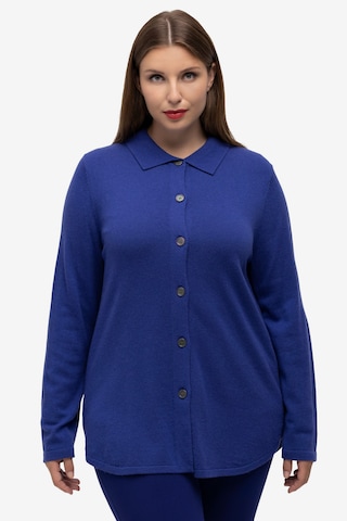 Ulla Popken Gebreid vest in Blauw: voorkant