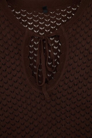 Trendyol Pullover i brun