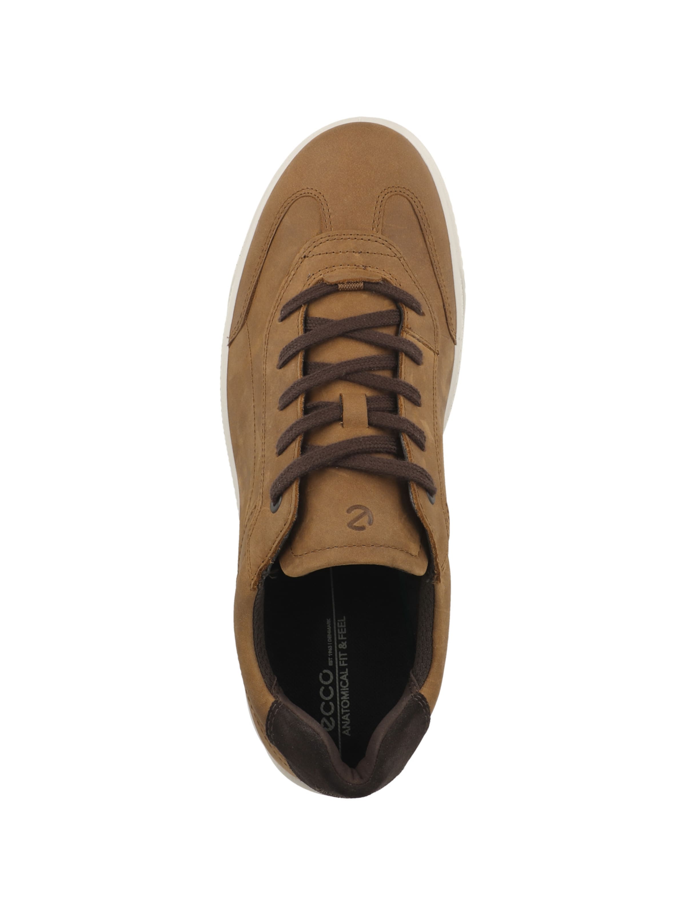 Baskets basses 'Byway' ECCO en marron