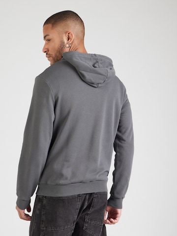 Felpa 'BANEM' di NAPAPIJRI in grigio: dietro