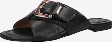 SCAPA Mules in Black: front