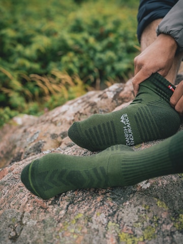 Chaussettes de sport 'Light Hiking Crew' DANISH ENDURANCE en vert : devant