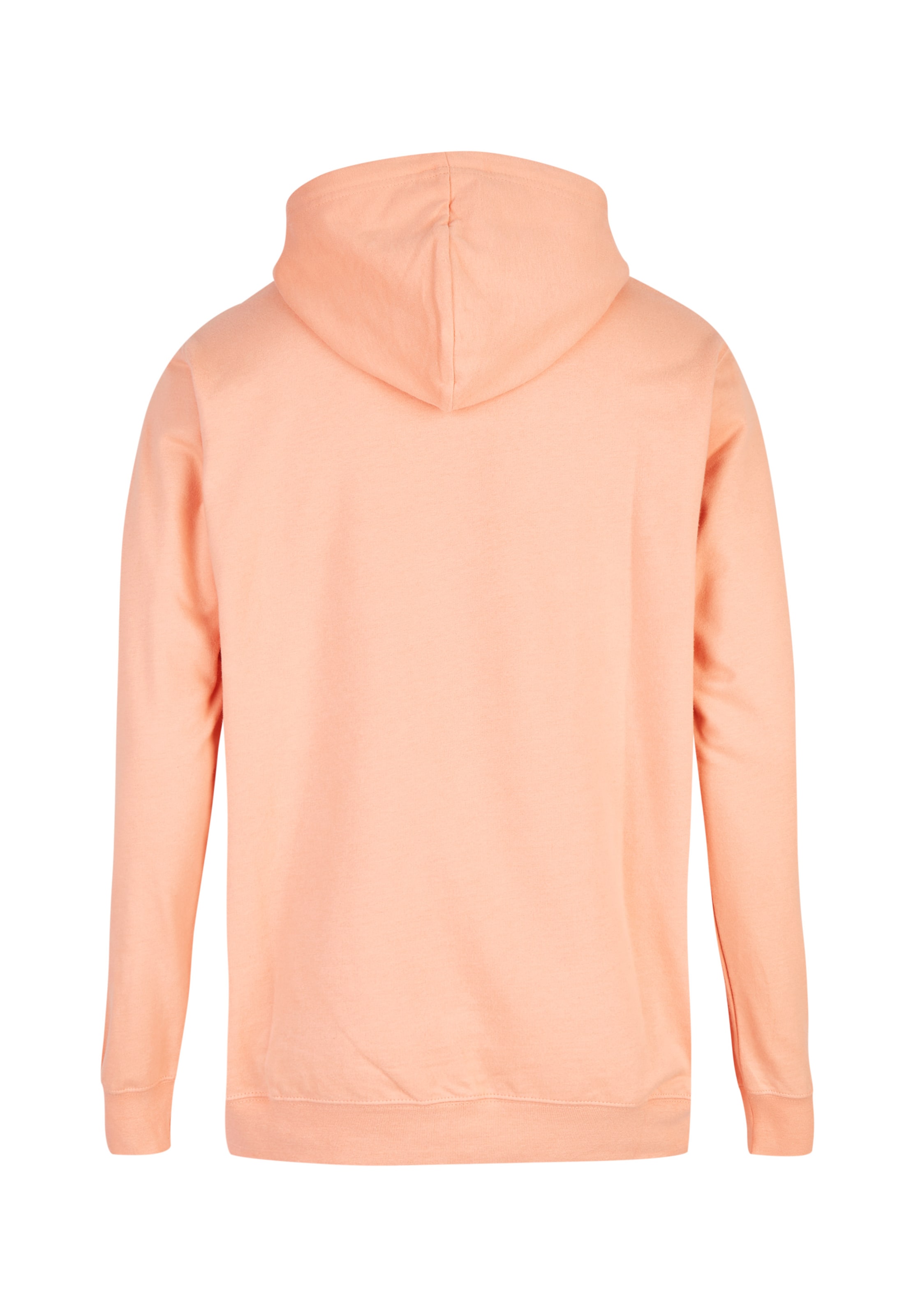 Cleptomanicx Sweatshirt 'Ligull' in Orange