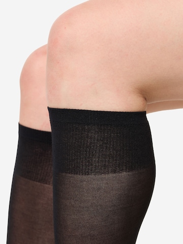 Nur Die - Meias ' Strümpfe & Söckchen Cotton 60 DEN ' em bege