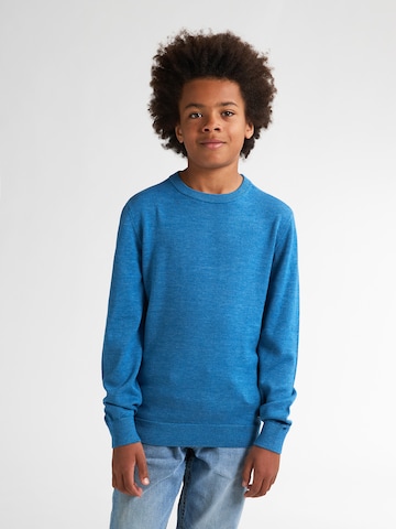 Petrol Industries Sweater in Blue: front