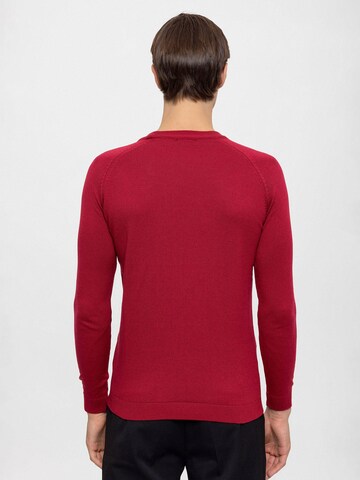 Antioch Pullover in Rot