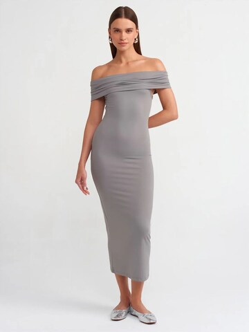 Dilvin Dress in Grey: front