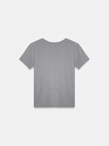 Dilvin - Camisa em cinzento