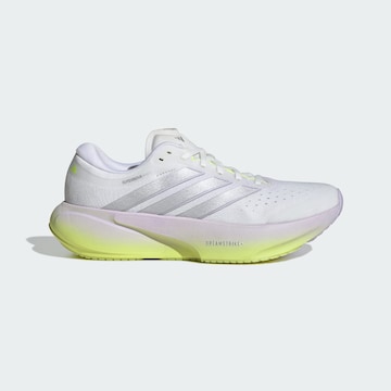 ADIDAS PERFORMANCE Tekaški čevelj 'Supernova Rise 3' | bela barva