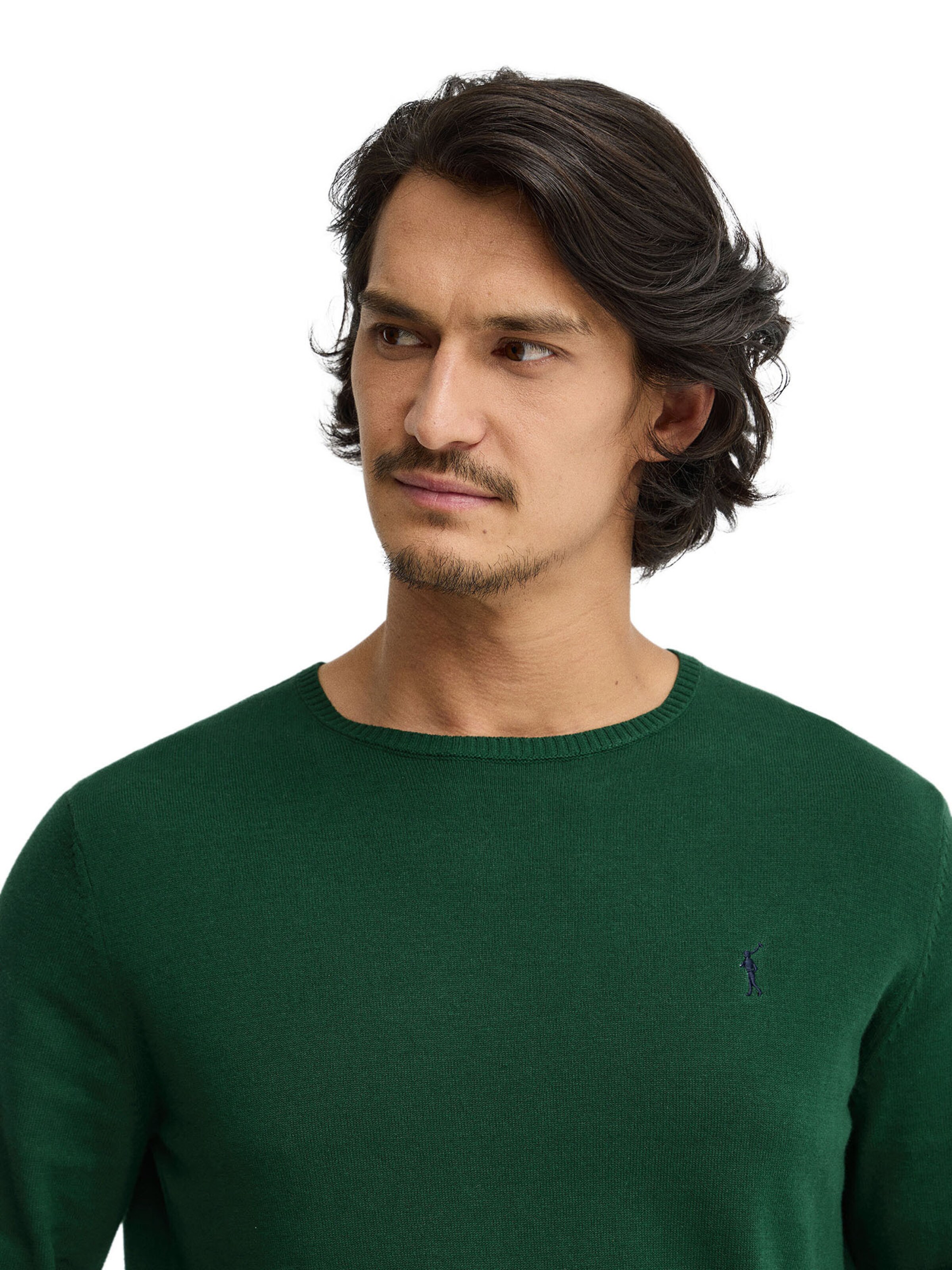 Polo Club Pullover in Grün