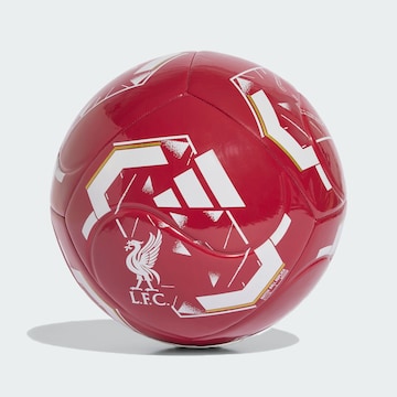 Balle ' FC Liverpool Home Club' ADIDAS PERFORMANCE en rouge