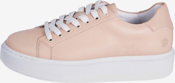 Apple of Eden Sneaker in Beige