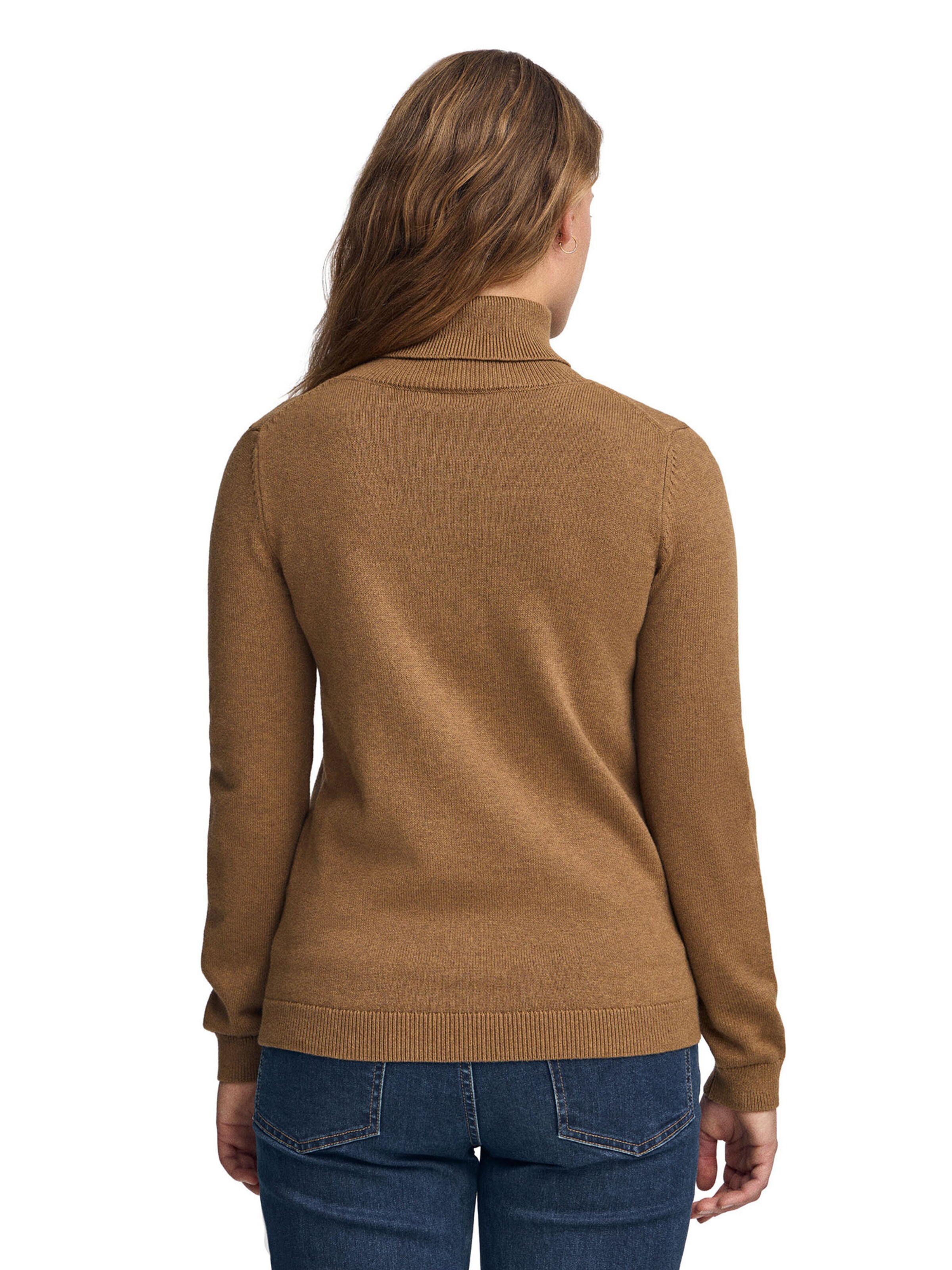 Polo Club Sweater in Brown
