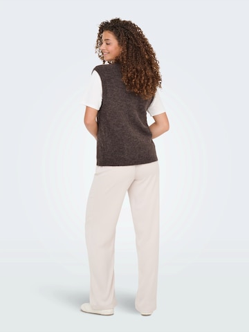 JDY Sweater 'JDYELANORA' in Brown