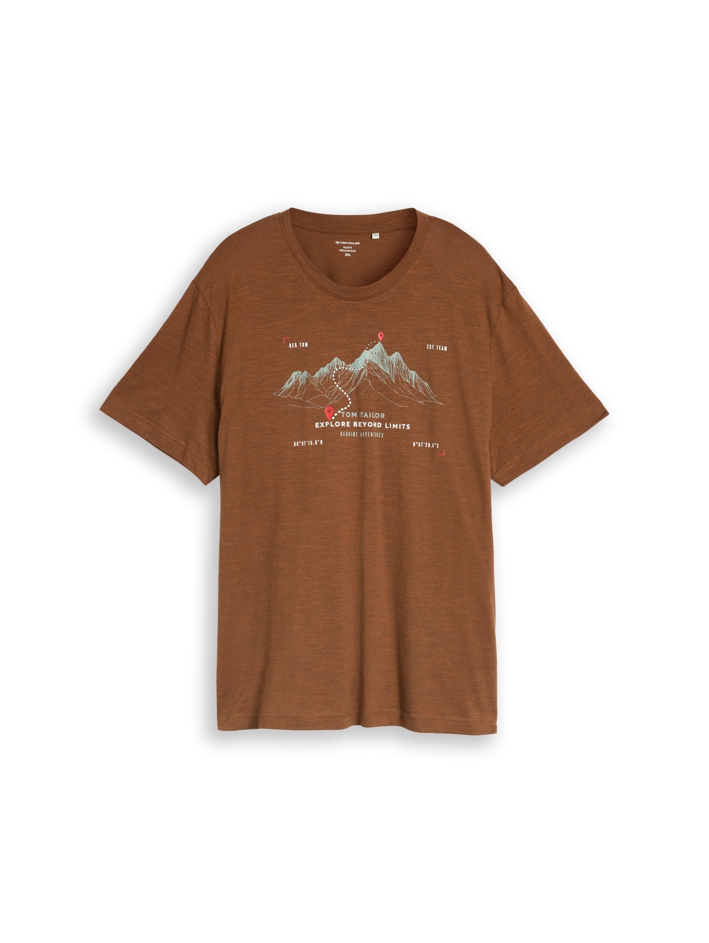 TOM TAILOR Men + Shirt in Brown: front