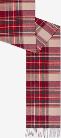 Roeckl Sjaal 'SCOTTISH TARTAN HERREN' in Rood: voorkant