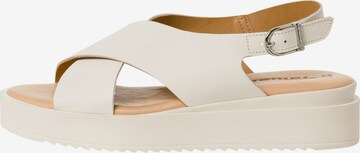 TAMARIS Sandale in Beige