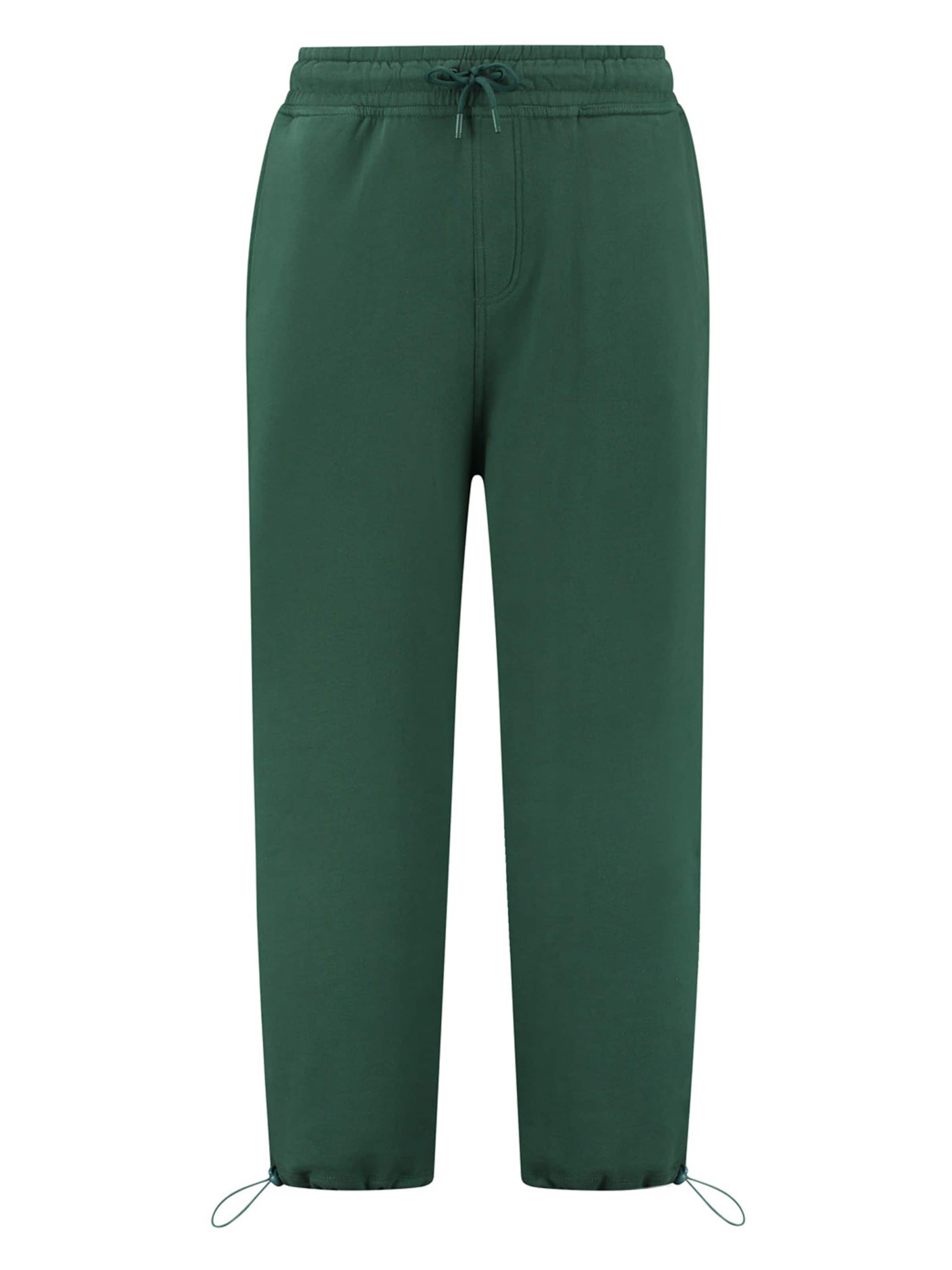 Shiwi Конический (Tapered) Штаны в Зеленый: спереди