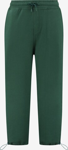 Effilé Pantalon Shiwi en vert : devant