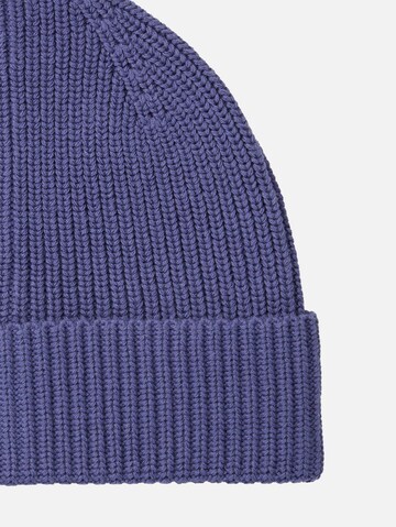 TOM TAILOR Muts in Blauw