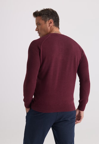 Felix Hardy Pullover in Rot