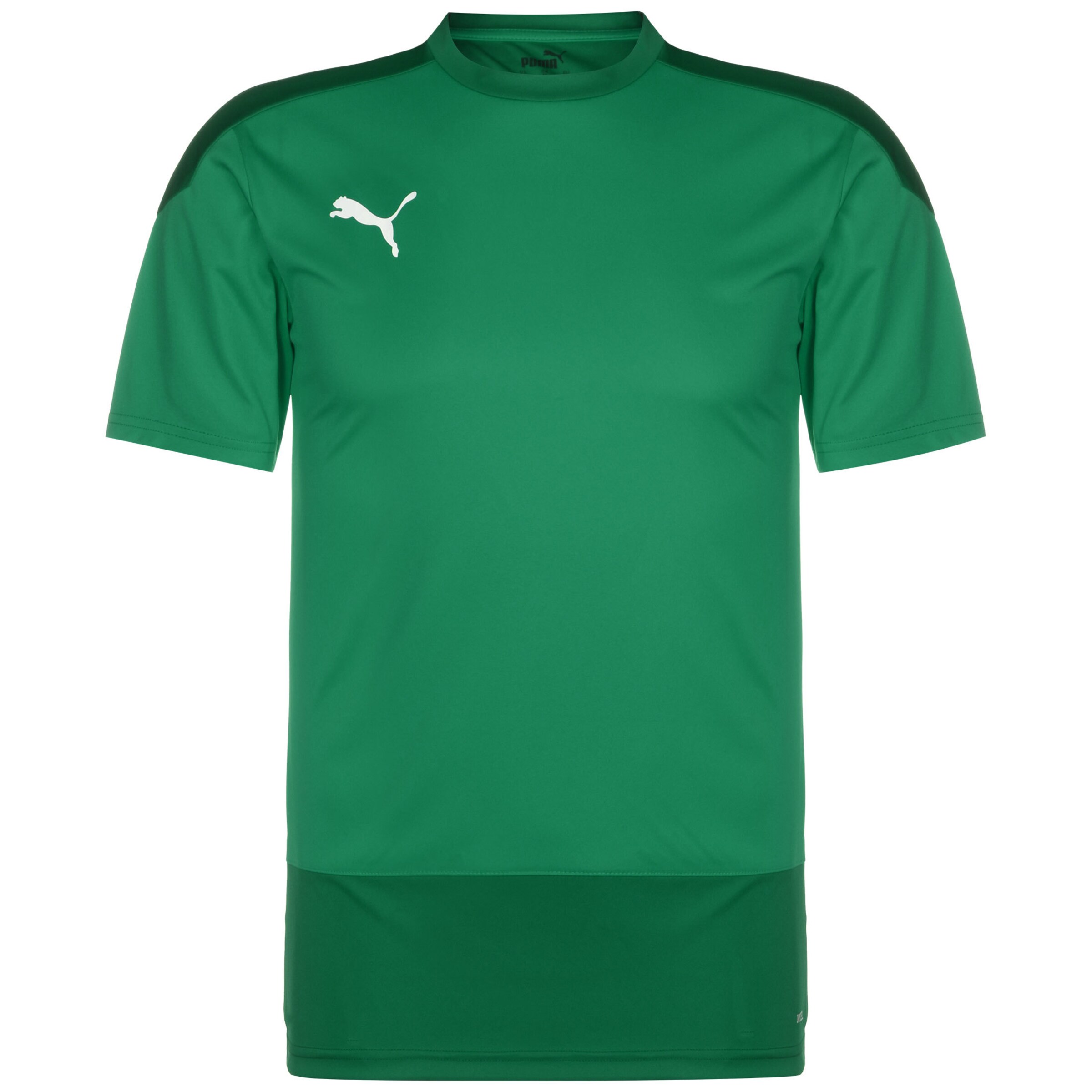 PUMA Performance Shirt 'TeamGoal 23' in Green: front