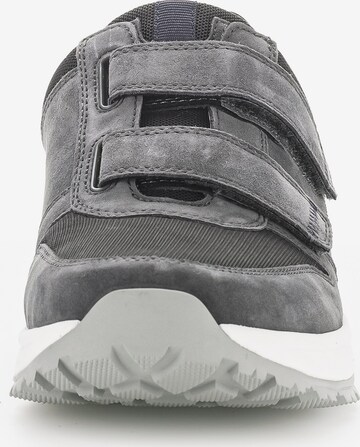 Pius Gabor Sneakers in Grey