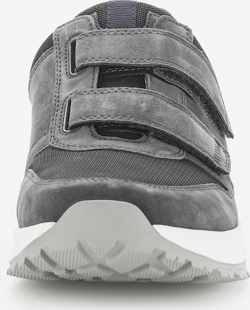 Pius Gabor Sneaker in Grau