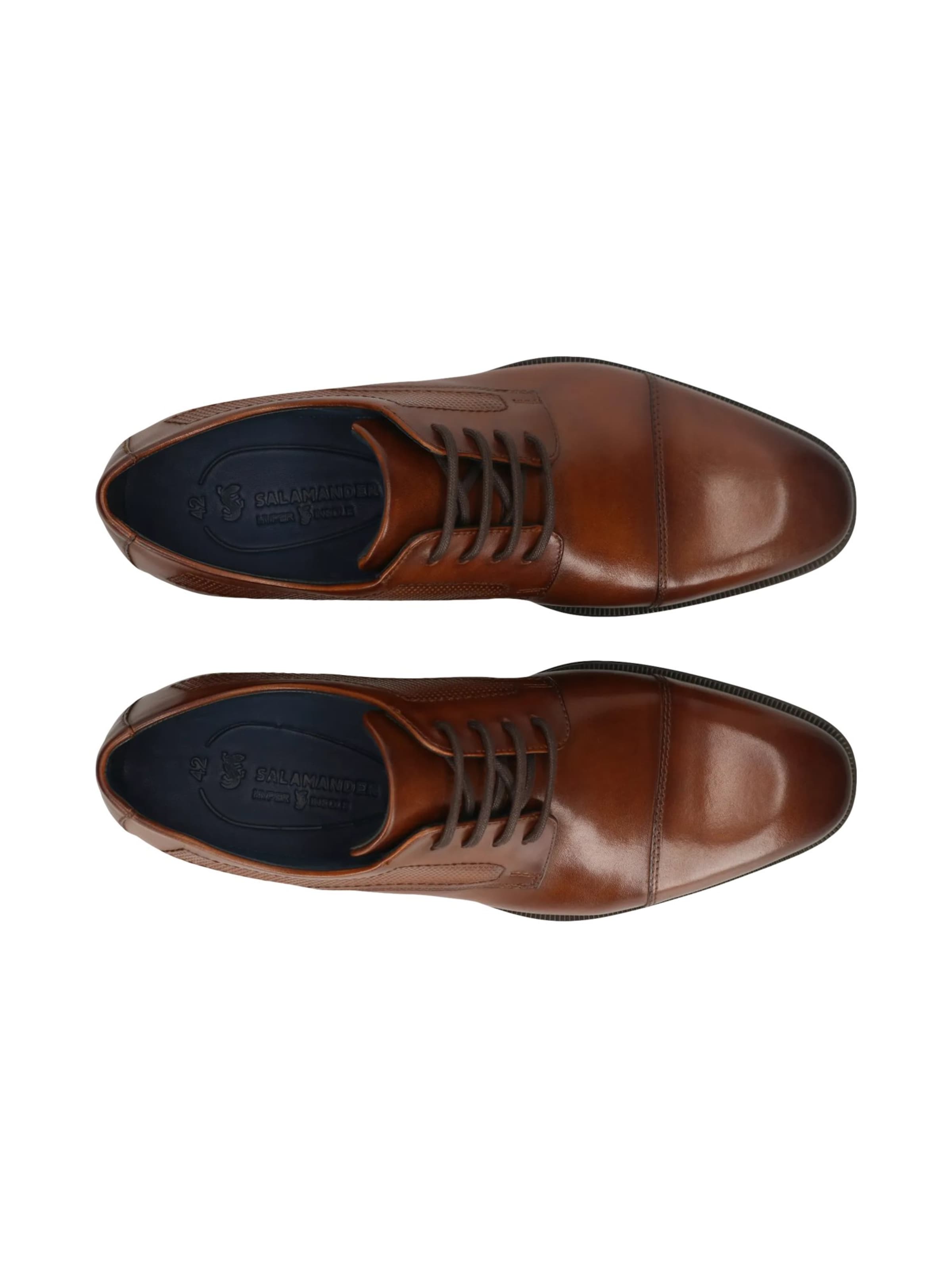 SALAMANDER Knytsko i brun