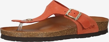 ROHDE Mules in Orange: front