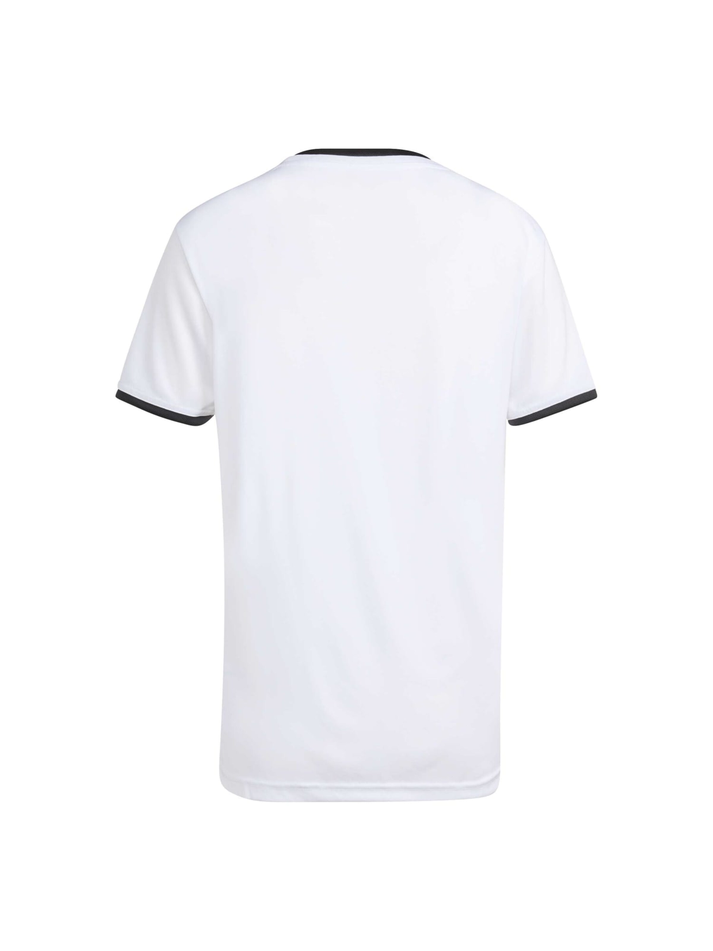 T-shirt fonctionnel 'ENT26' ADIDAS PERFORMANCE en blanc