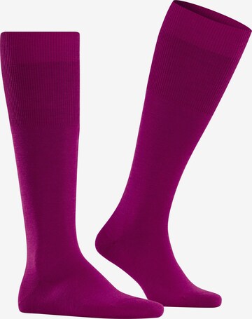FALKE Knee High Socks 'Airport' in Pink: front