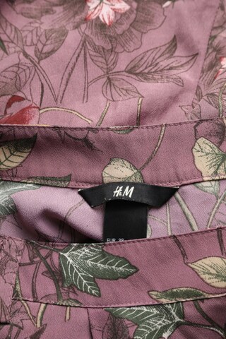 H&M Shorts in M in Purple
