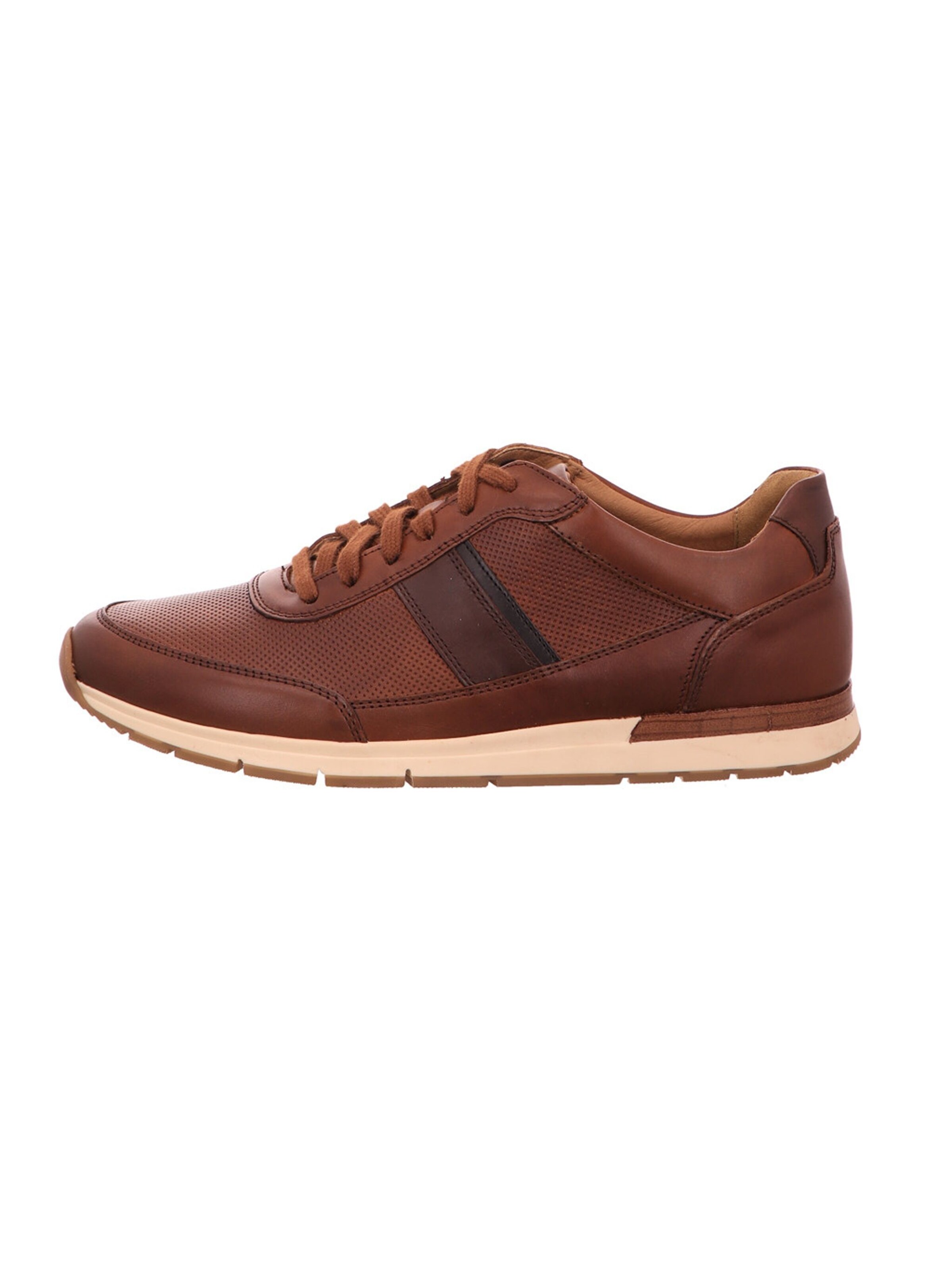 Pius Gabor Sneakers in Brown