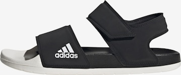 ADIDAS SPORTSWEAR - Zapatos para playa y agua 'Adilette' en negro: frente