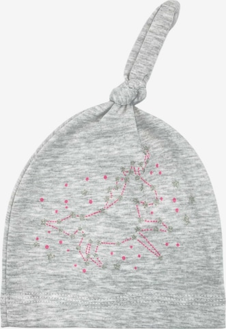 Aliap Beanie in Grey: front