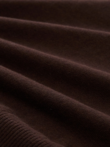TOM TAILOR Pullover in Braun
